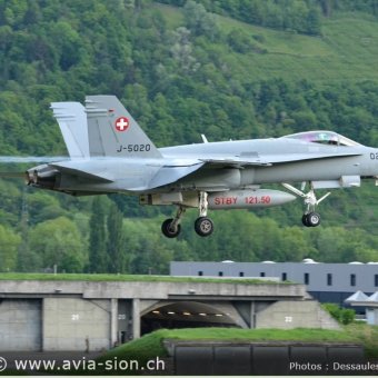 CR  2015 sur FA-18 & Tiger (345)