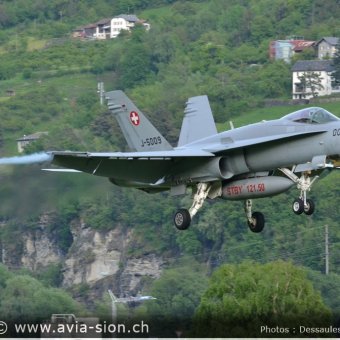 CR  2015 sur FA-18 & Tiger (335)