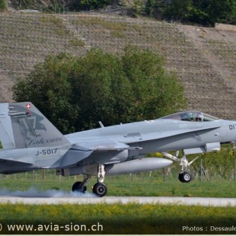 CR  2015 sur FA-18 & Tiger (219)