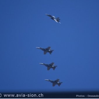 CR  2015 sur FA-18 & Tiger (087)