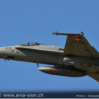 CR  2015 sur FA-18 & Tiger (040)