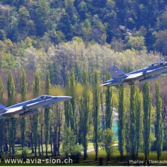CR  2015 sur FA-18 & Tiger (005)