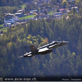 CR  2015 sur FA-18 & Tiger (010)