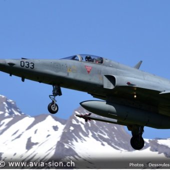 CR  2015 sur FA-18 & Tiger (089)