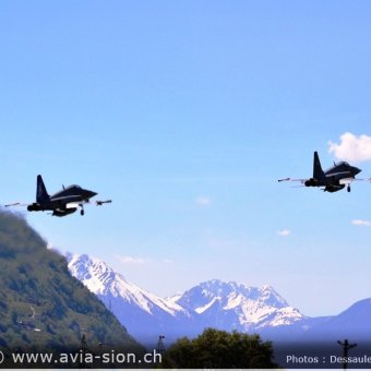 CR  2015 sur FA-18 & Tiger (076)