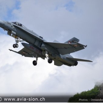 CR  2015 sur FA-18 & Tiger (425)