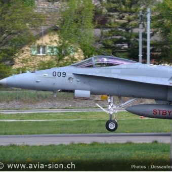CR  2015 sur FA-18 & Tiger (166)