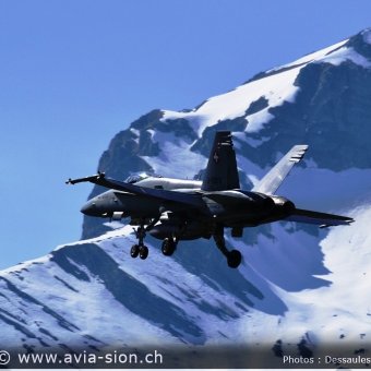 CR  2015 sur FA-18 & Tiger (123)