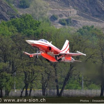 CR  2015 sur FA-18 & Tiger (228)