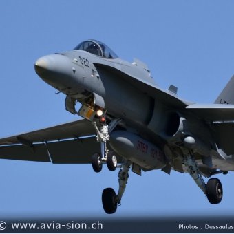 CR  2015 sur FA-18 & Tiger (102)