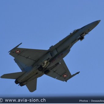 CR  2015 sur FA-18 & Tiger (059)