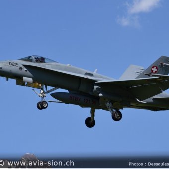 CR  2015 sur FA-18 & Tiger (095)