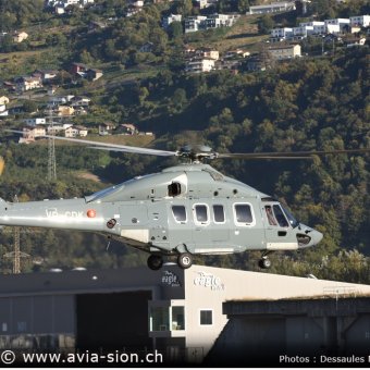 H175 _ EC75 - 31