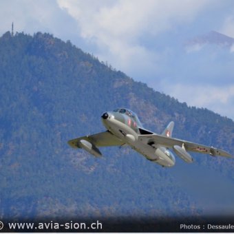 Hunter  0148