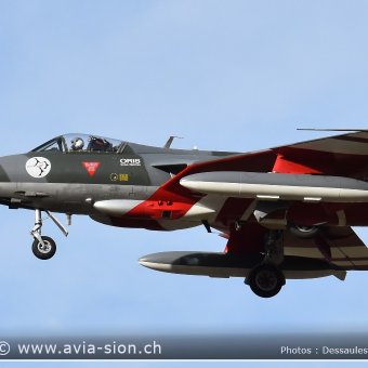 Hunter  0217