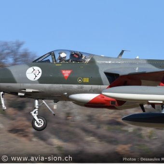 Hunter  0261