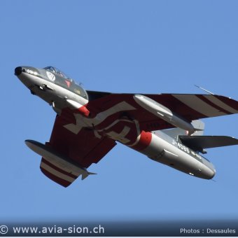Hunter  0251