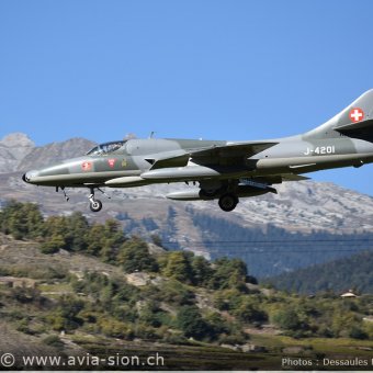 Hunter  0232