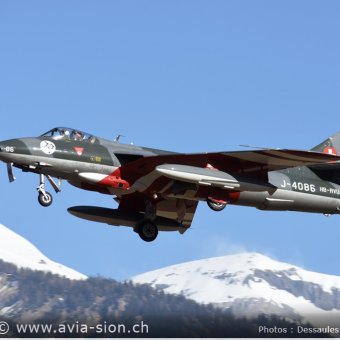 Hunter  0259