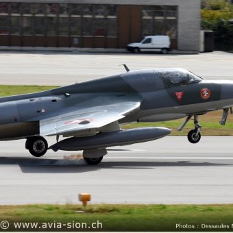 Hunter  317