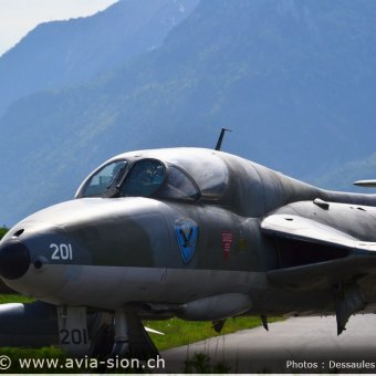 Hunter  0088