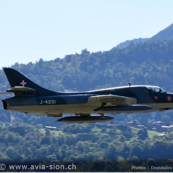 Hunter    349