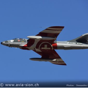Hunter  0252