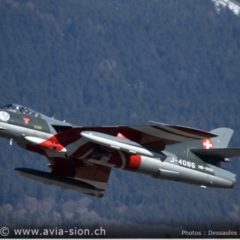 Hunter  0235