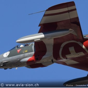 Hunter  0253