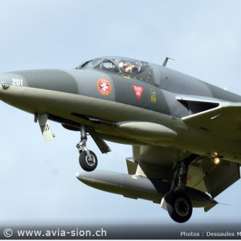 Hunter  331