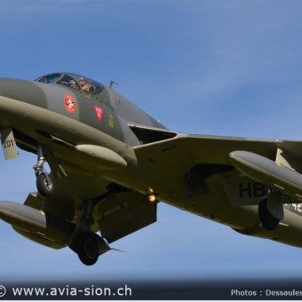 Hunter  0153