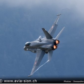 XYZ_1079