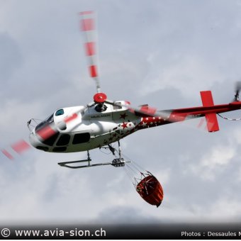 XYZ_0554