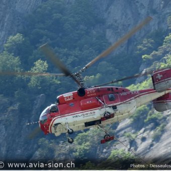 Kamov -  56