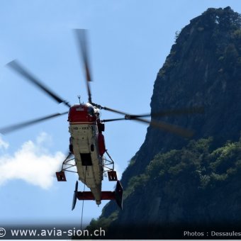 Kamov -  26