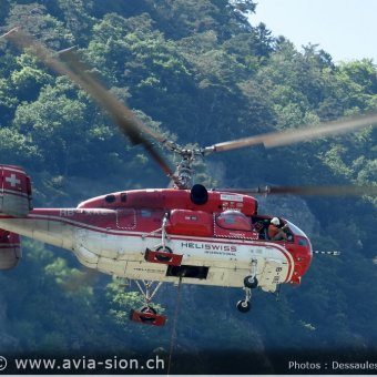 Kamov -  53