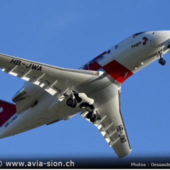 Rega 2022 - 75